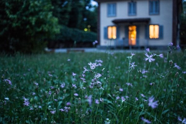 Les meilleurs produits pour un nettoyage de façades efficace